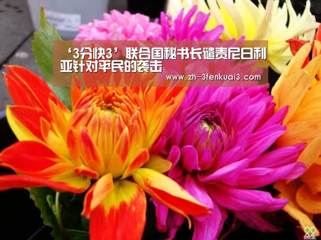 3分快3